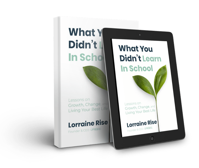What You Didn't Learn in School — book cover
